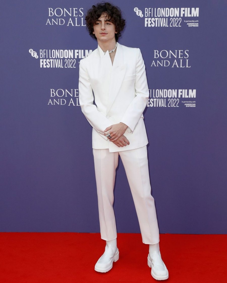 Ο Timothée Chalamet φόρεσε ένα τσόκερ με κόκκαλα στο red carpet και έγινε ο πιο stylish «κανίβαλος»