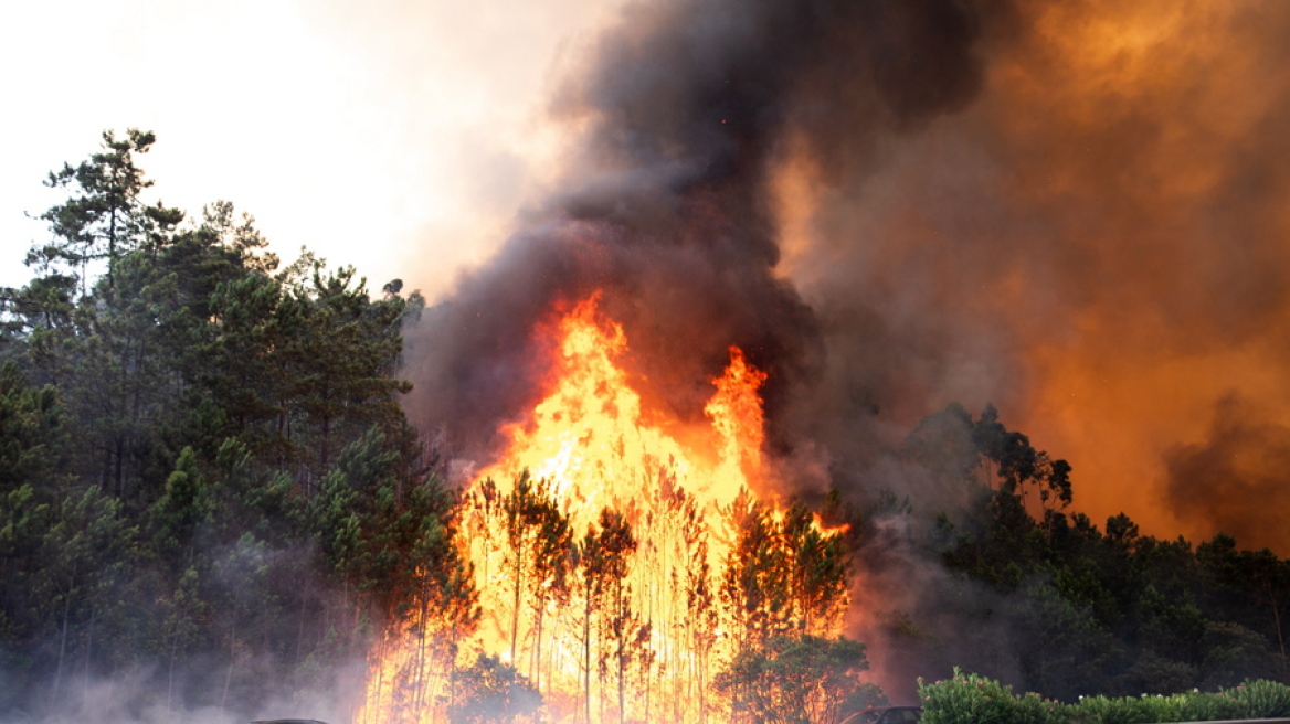 arouraios-image-portugal_fires_2023