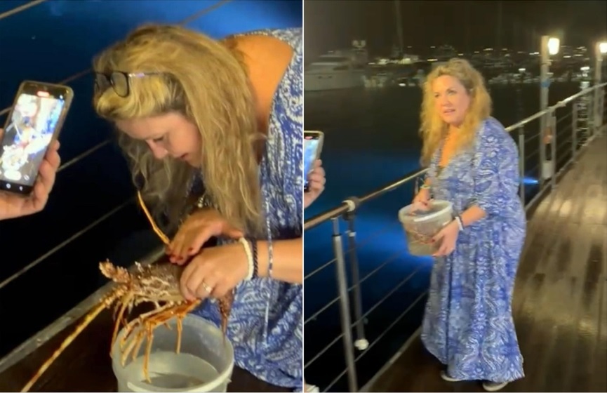 Ελβετίδα τουρίστρια πλήρωσε 200 ευρώ για αστακό σε εστιατόριο και τον απελευθέρωσε στη θάλασσα – «Νόμιζα ότι αστειευόταν»