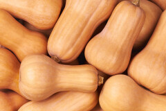 Butternut-Squash.jpg