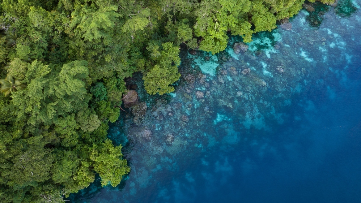 arouraios-image-coral-solomon-islands