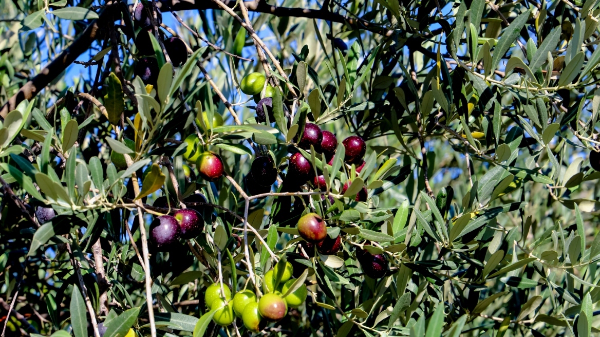 Πόλεμος στην Ουκρανία: «Έχουμε πει ανοικτά πως ήταν πάντα μια επιλογή» λέει το Παρίσι για τη χρήση πυραύλων σε ρωσικά εδάφη