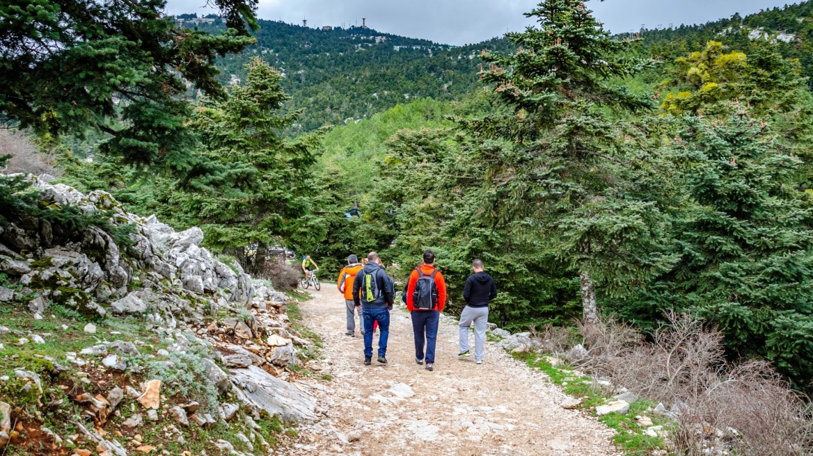 Αίσιο τέλος στην περιπέτεια των τριών περιπατητών που έχασαν τον προσανατολισμό τους στην Πάρνηθα